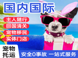 三源浦航空运输国际宠物托运 【国